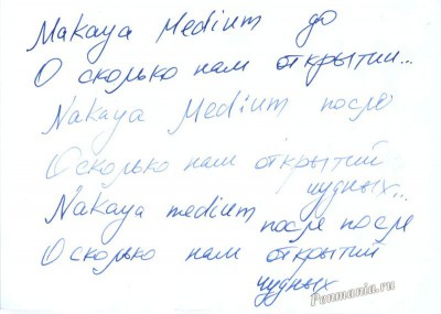Образец письма пера Nakaya / Nakayas writing sample