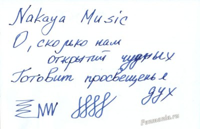 Образец письма пера Nakaya / Nakayas writing sample