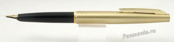перьевая ручка Teikin / fountain pen