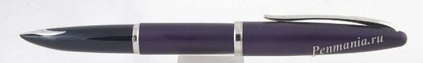 перьевая ручка Waterman Carene / fountain pen